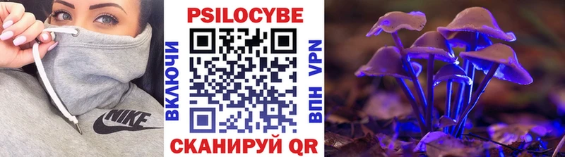 Галлюциногенные грибы Psilocybine cubensis закладка Плавск